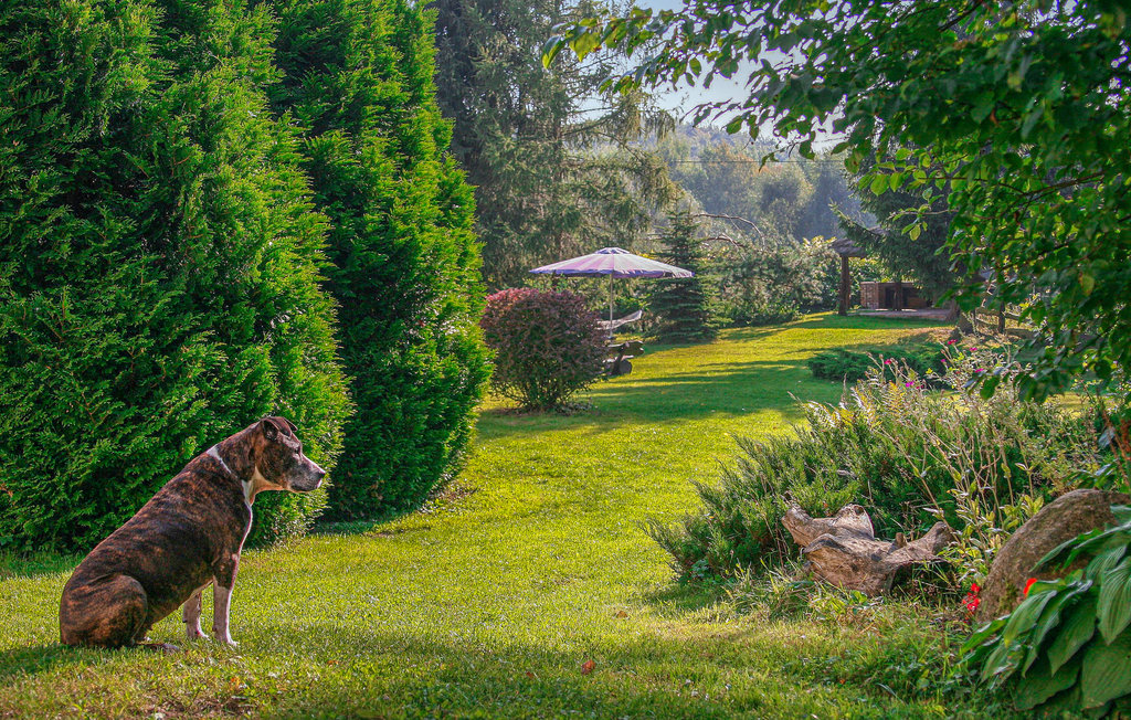 Feriehuse - Sarnikierz , Polen - PPO780 15