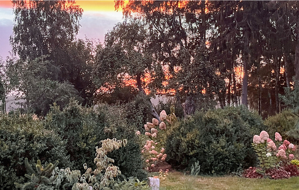 Lejlighed - Domyslów , Polen - PPO949 13