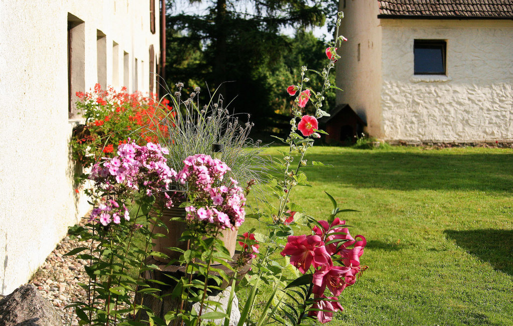 Feriehuse - Sarnikierz , Polen - PPO191 19