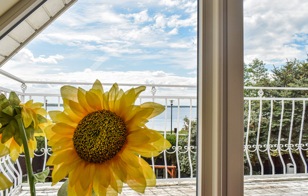 Ferienhaus - Nowe Warpno , Polen - PPO594 16