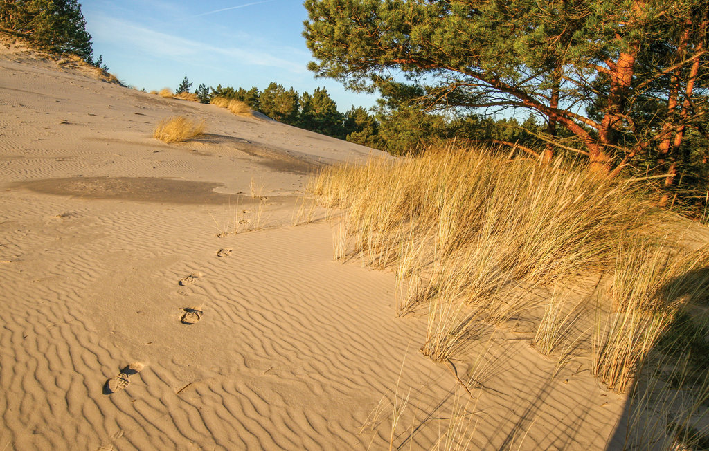 Ferienhaus - Sarbsk , Polen - PPO146 25