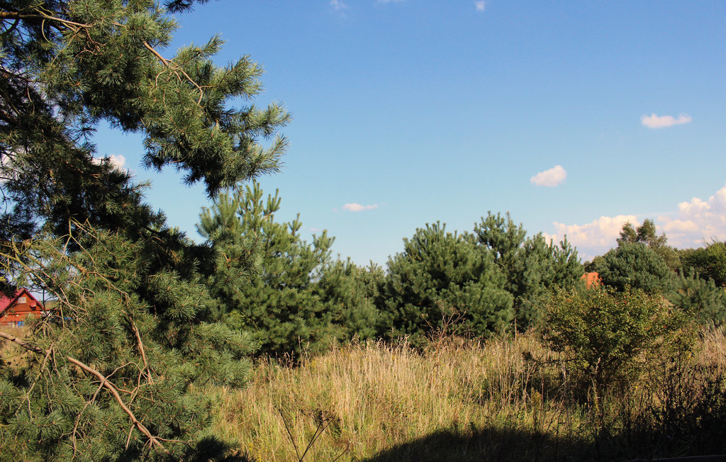 Ferienhaus - Kolczewo , Polen - PPO255 38