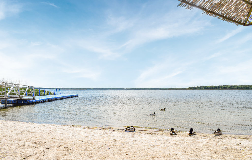 Ferienhaus - Nowe Warpno , Polen - PPO594 38