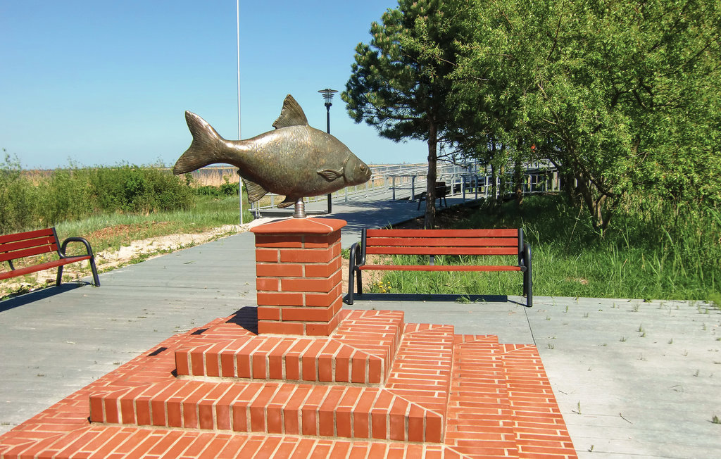 Feriehus - Nowe Warpno , Polen - PPO314 29