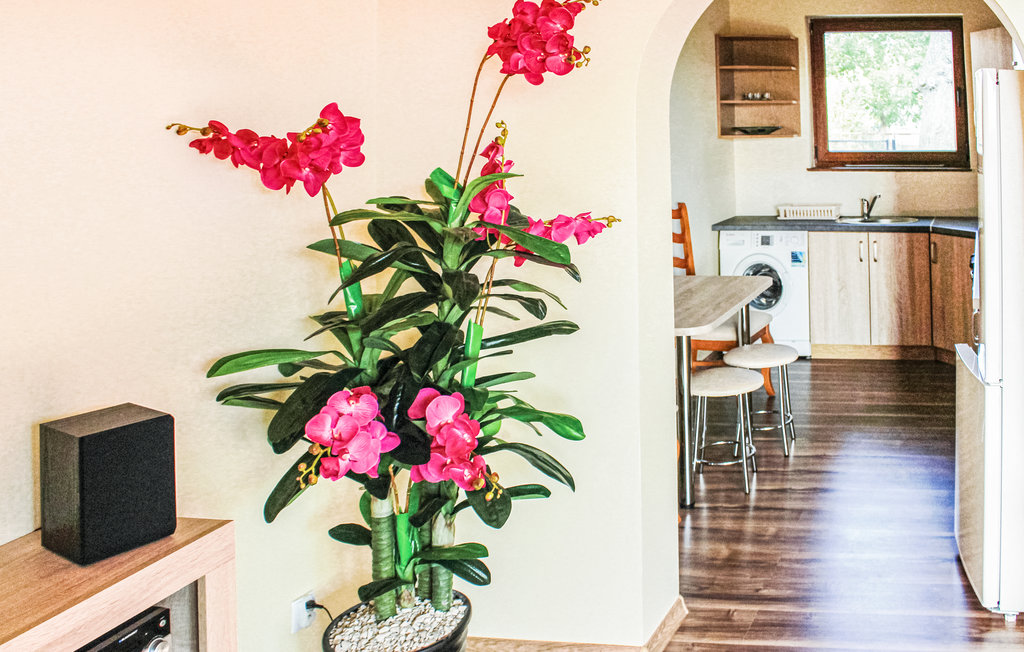 Feriehuse - Nowe Warpno , Polen - PPO316 11