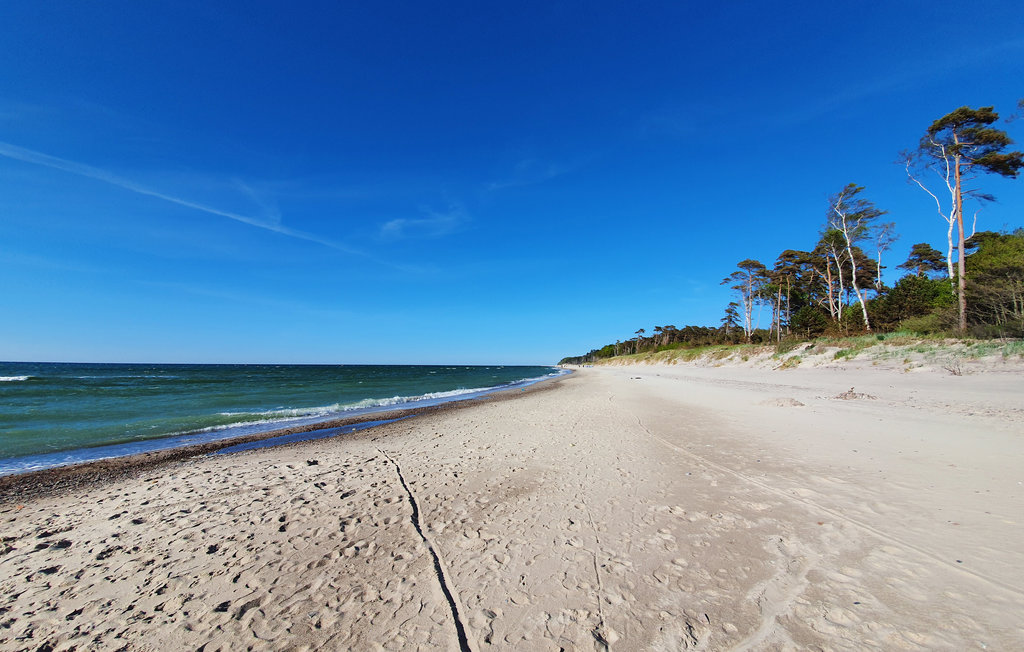 Ferienhaus - Pienkowo , Polen - PPO529 9