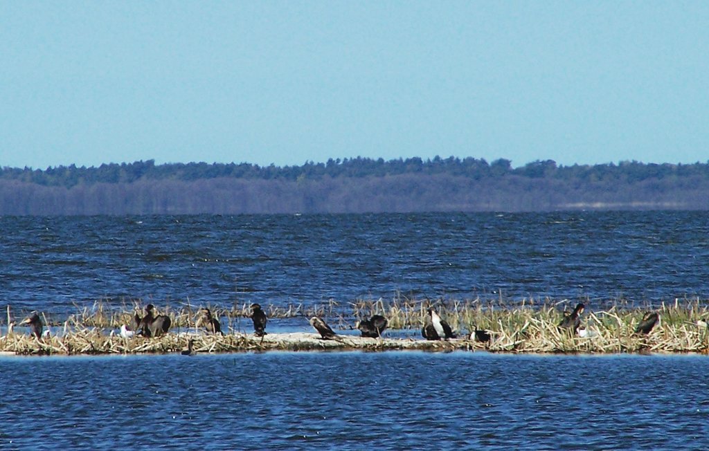 Feriehuse - Izbica , Polen - PPO518 22
