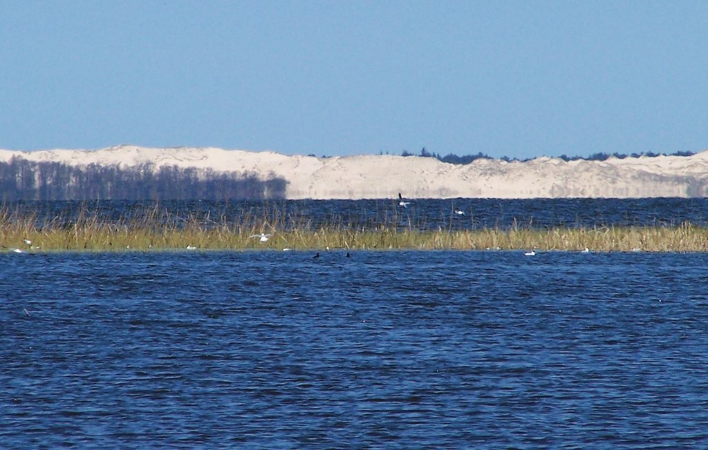 Feriehuse - Izbica , Polen - PPO518 23