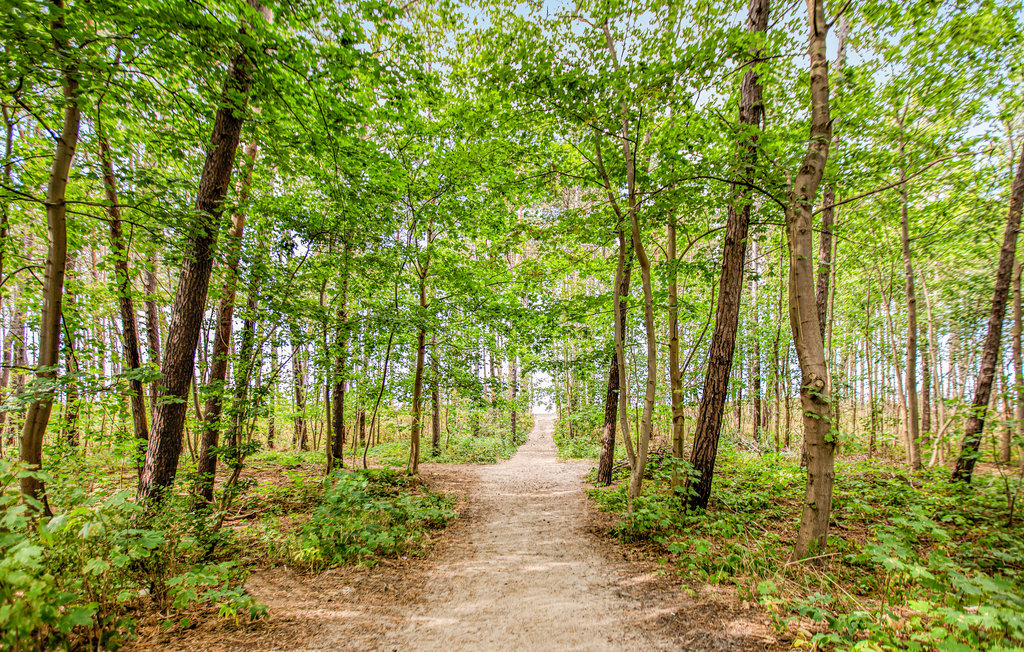 Ferienhaus - Podamirowo , Polen - PPO733 35