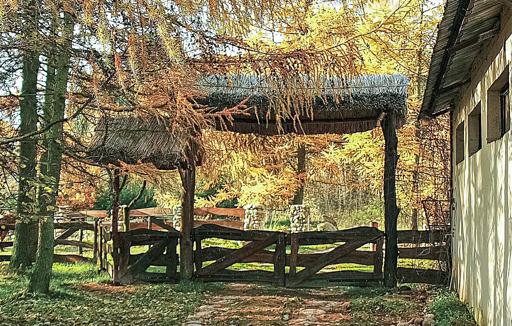 Feriehuse - Sarnikierz , Polen - PPO191 15