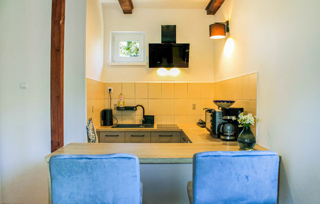 Ferienhaus - Sarbsk , Polen - PPO146 19