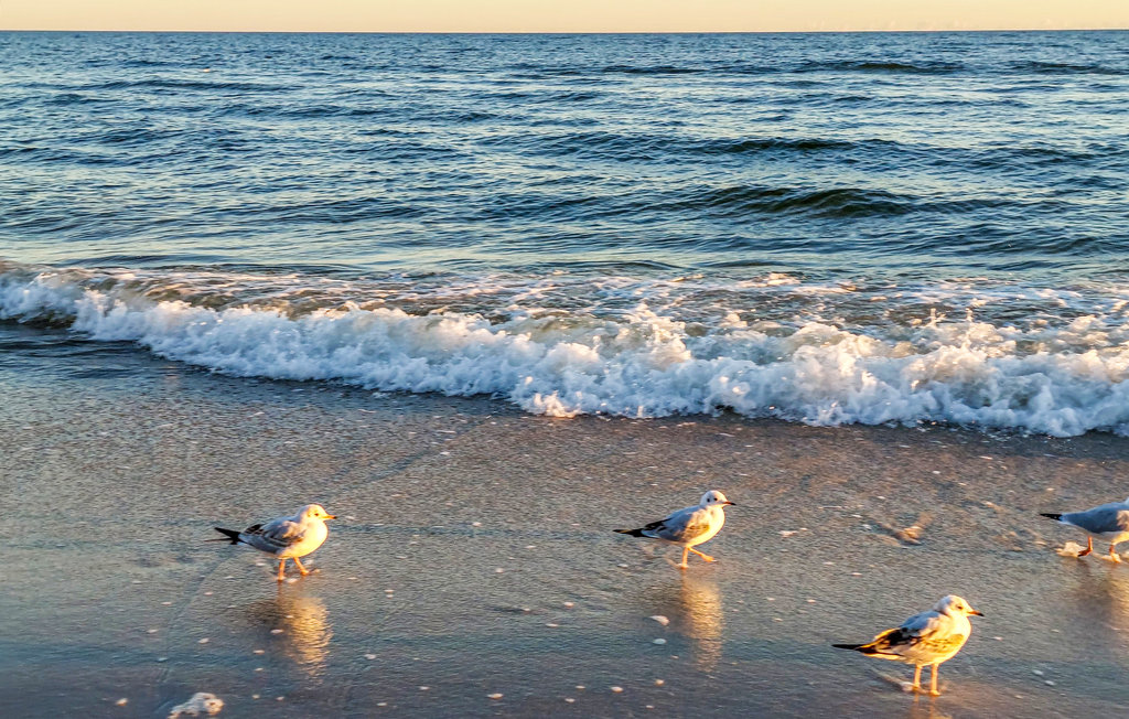 Feriehuse - Rewal , Polen - PPO043 22