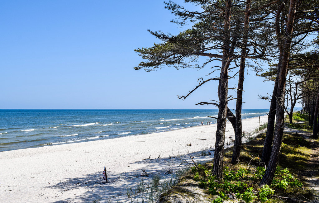 Feriehus - Dzwirzyno , Polen - PPO739 23