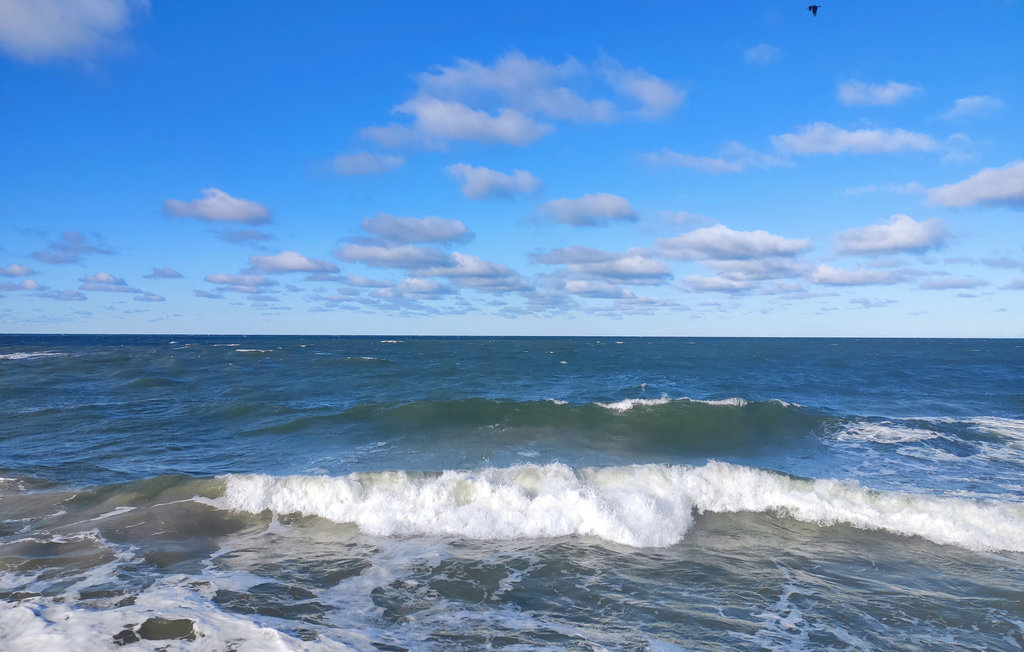 Semesterhus - Wicie , Polen - PPO760 16