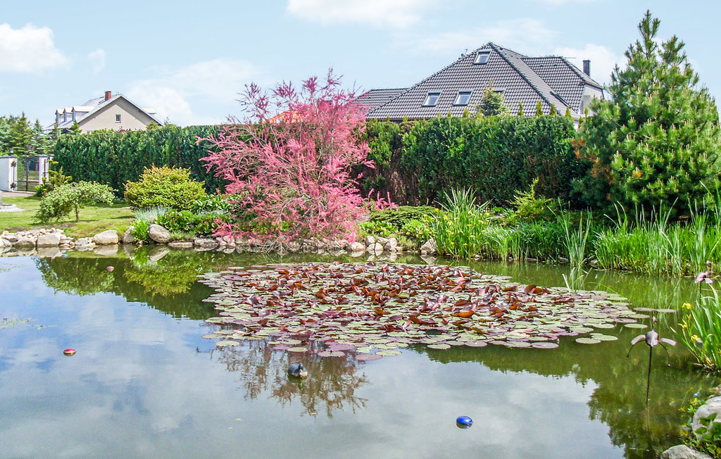 Ferienhaus - Grzybowo , Polen - PPO104 11