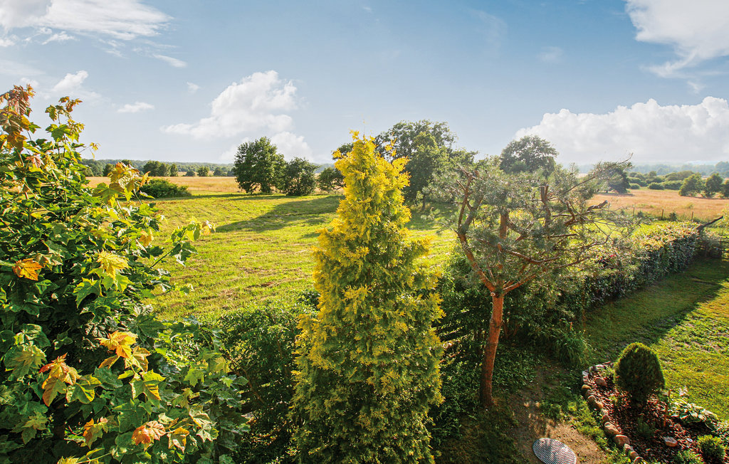 Ferienhaus - Sarbsk , Polen - PPO146 18