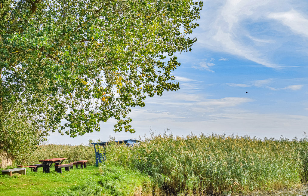 Ferienhaus - Wolin , Polen - PPO886 14