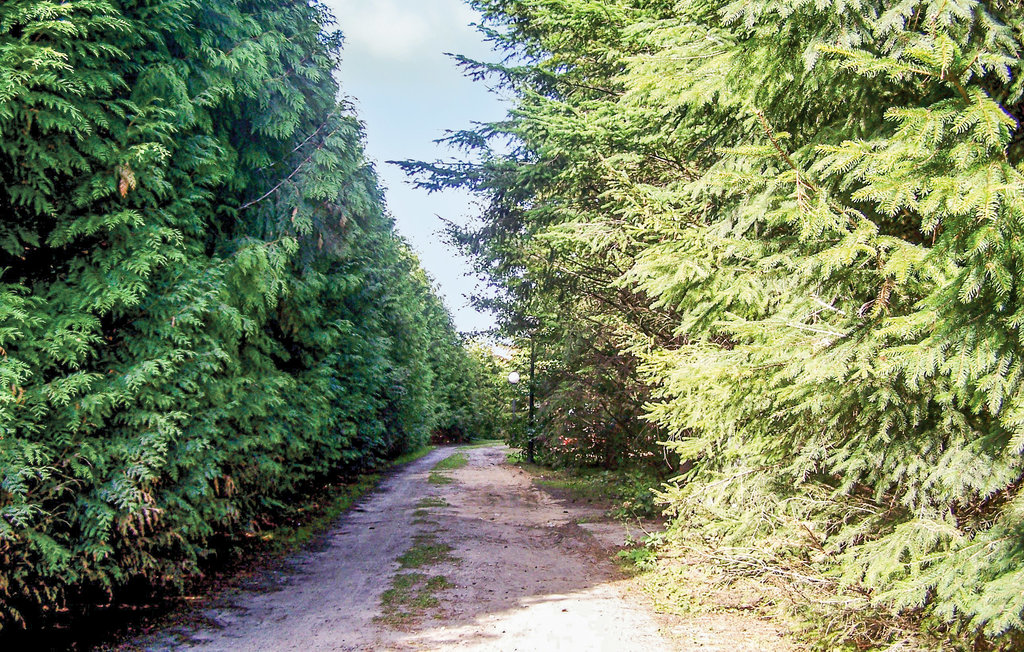 Feriehus - Darlowo , Polen - PPO802 19