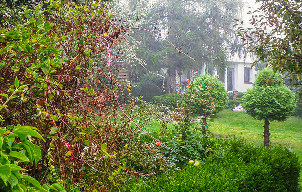 Domy wakacyjne - Gdynia , Polska - PPO169 13