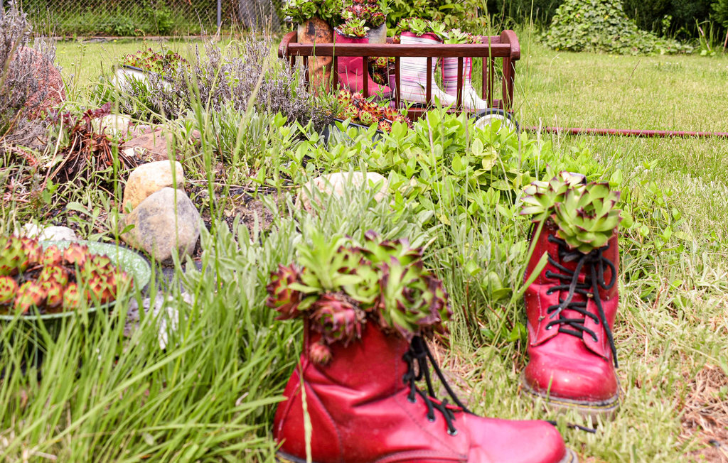 Semesterhus - Dominikowo , Polen - PPO246 10