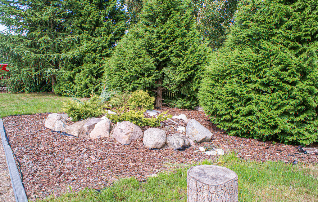 Ferienhaus - Grzybowo , Polen - PPO303 6