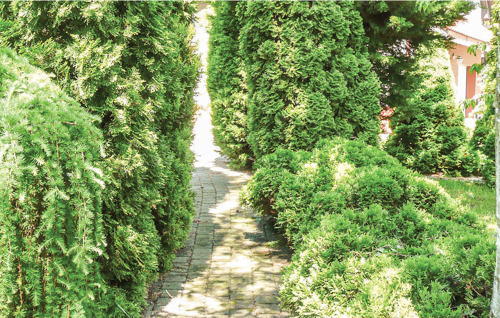 Feriehus - Gdansk , Polen - PPO487 13