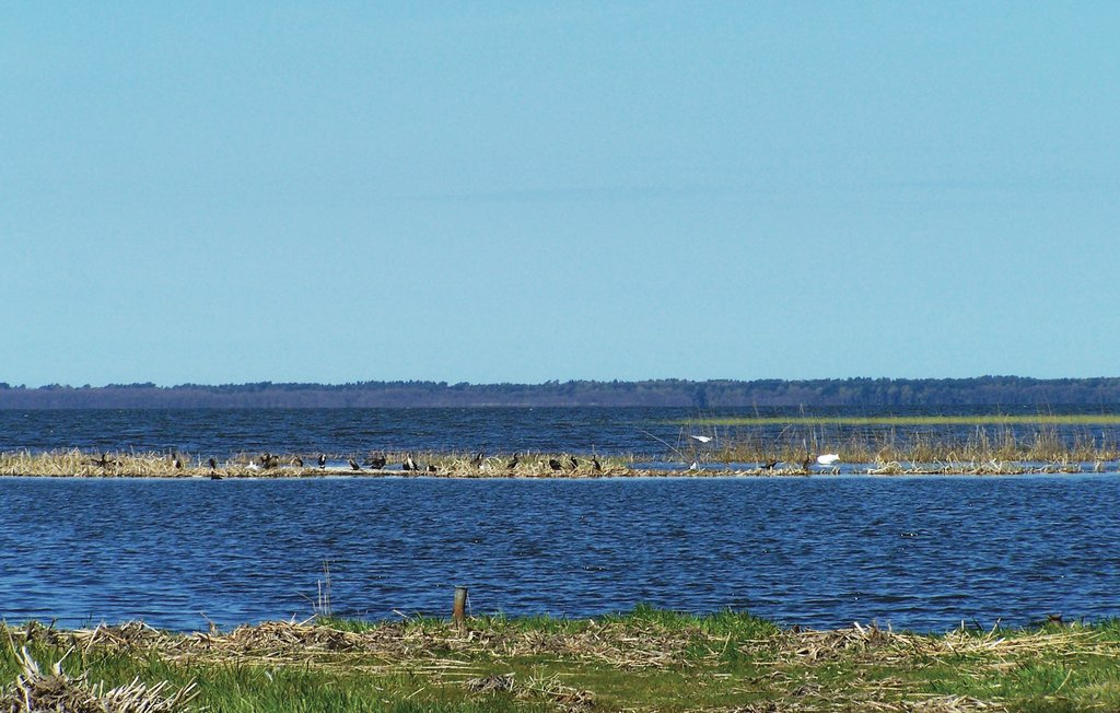 Feriehuse - Izbica , Polen - PPO518 20