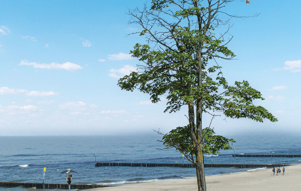 Semesterlägenhet - Kolobrzeg , Polen - PPO682 7