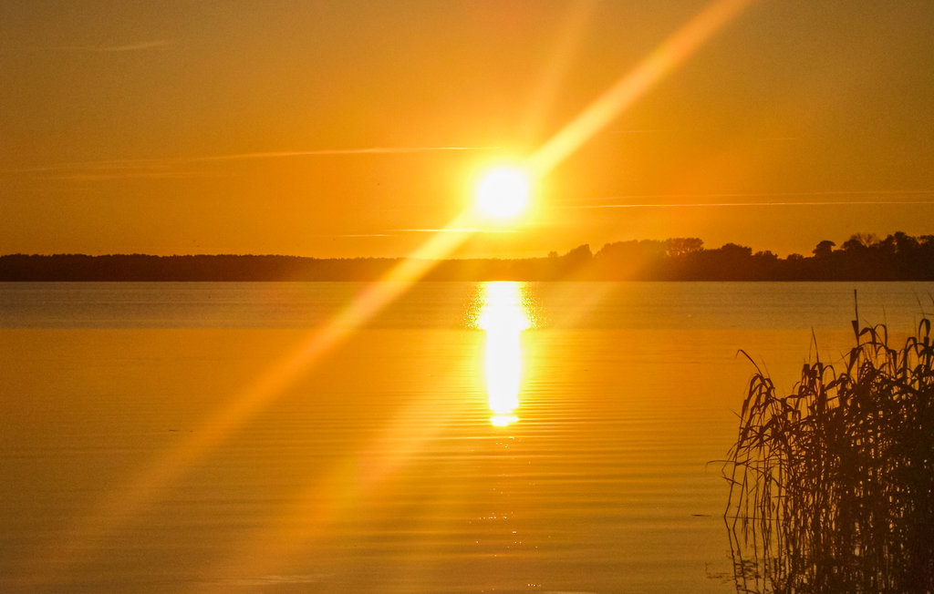 Ferienhaus - Nowe Warpno , Polen - PPO313 12