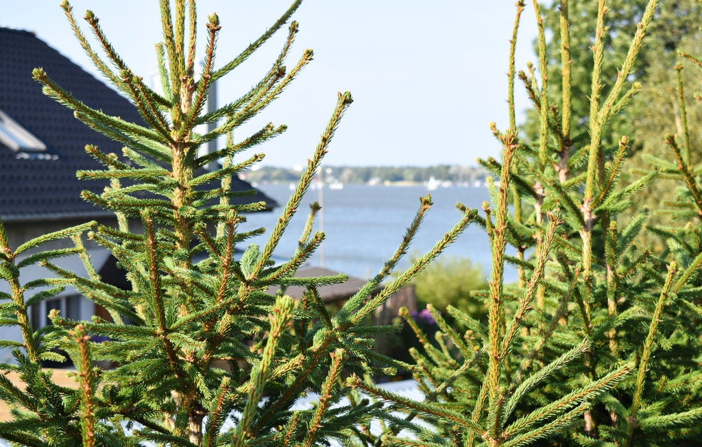 Feriehuse - Podamirowo , Polen - PPO714 8