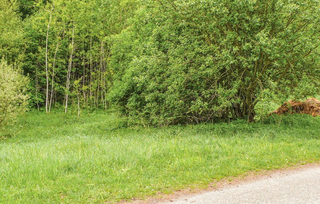 Feriehuse - Sarnikierz , Polen - PPO191 41