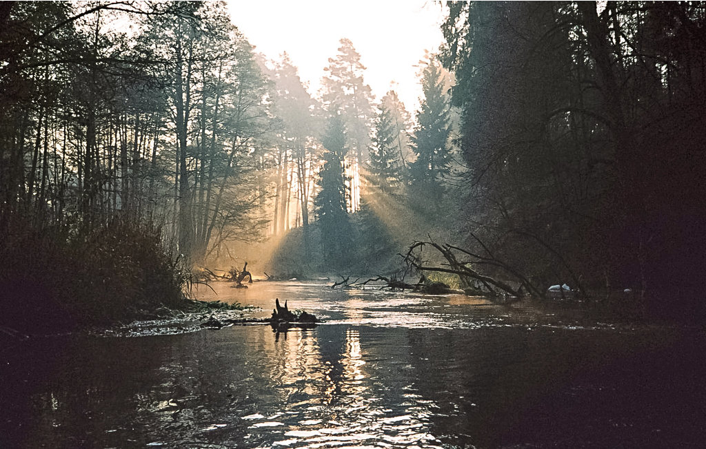 Feriehuse - Sarnikierz , Polen - PPO191 45