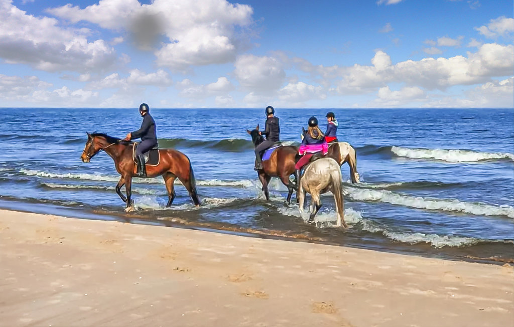 Semesterhus - Rewal , Polen - PPO364 29