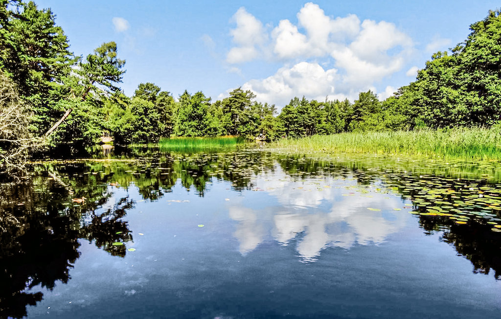 Feriehuse - Kopalino , Polen - PPO875 22