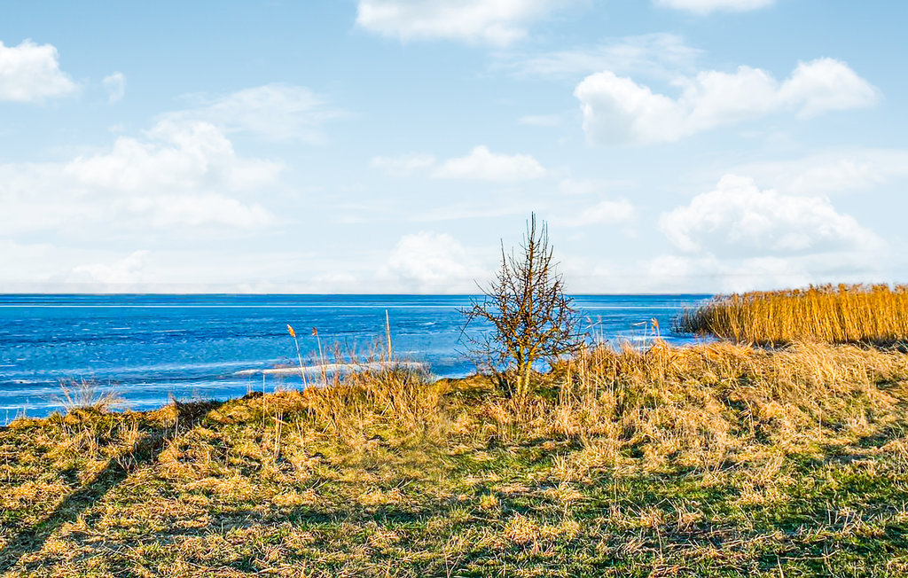 Ferienhaus - Nowe Warpno , Polen - PPO040 24