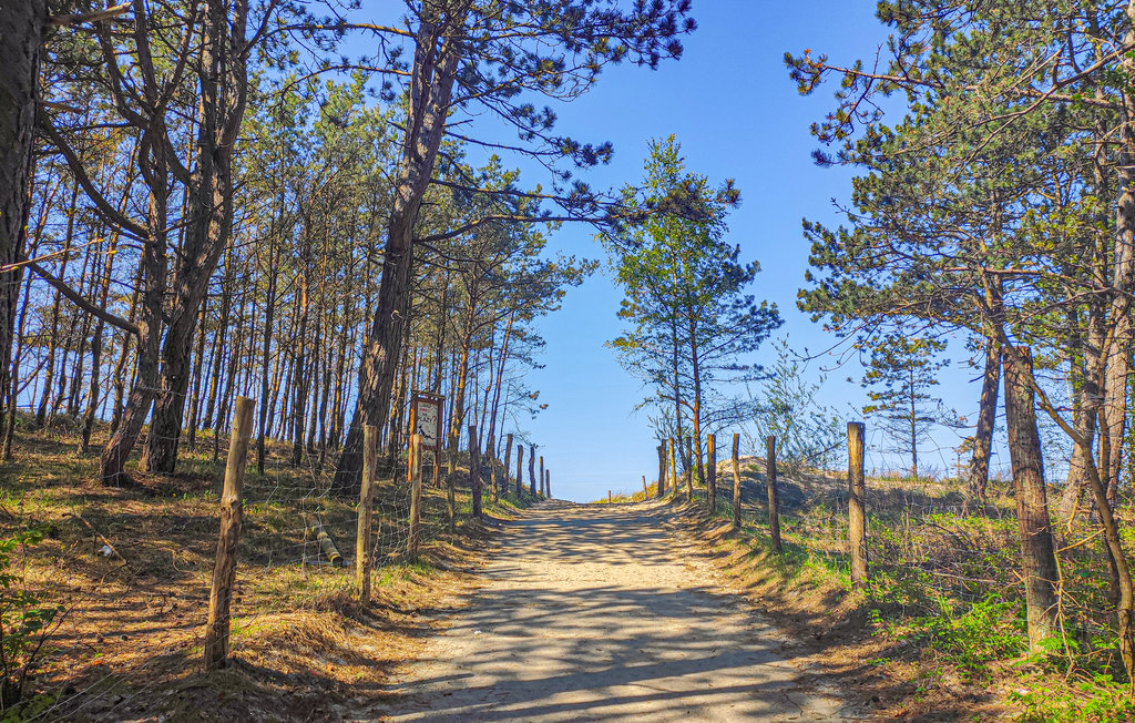 Feriehus - Bobolin , Polen - PPO794 24