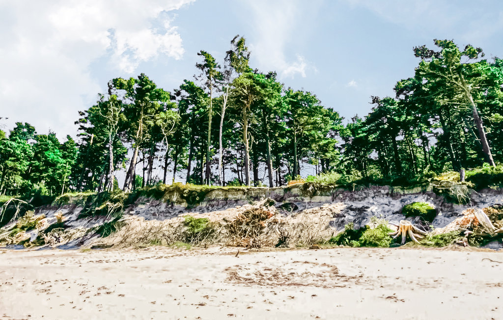 Feriehuse - Kopalino , Polen - PPO875 19