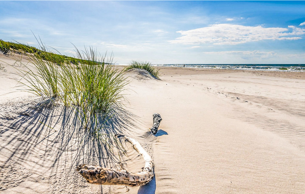 Feriehuse - Sasino , Polen - PPO867 36