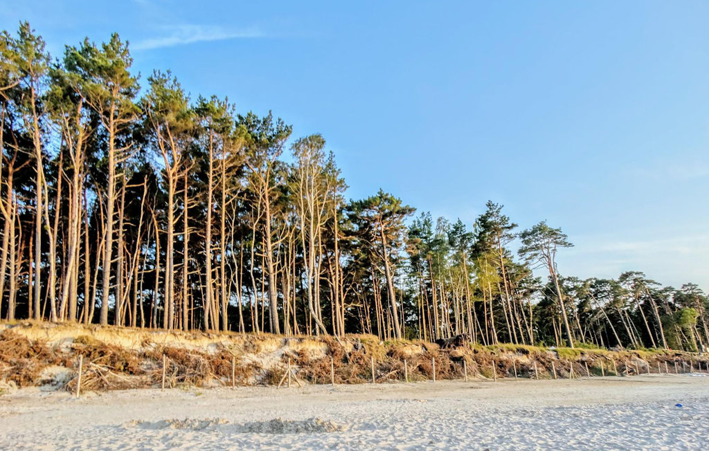 Lejlighed - Kopalino , Polen - PPO876 9