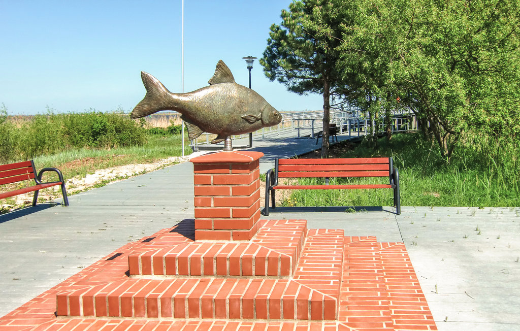 Feriehuse - Nowe Warpno , Polen - PPO515 29