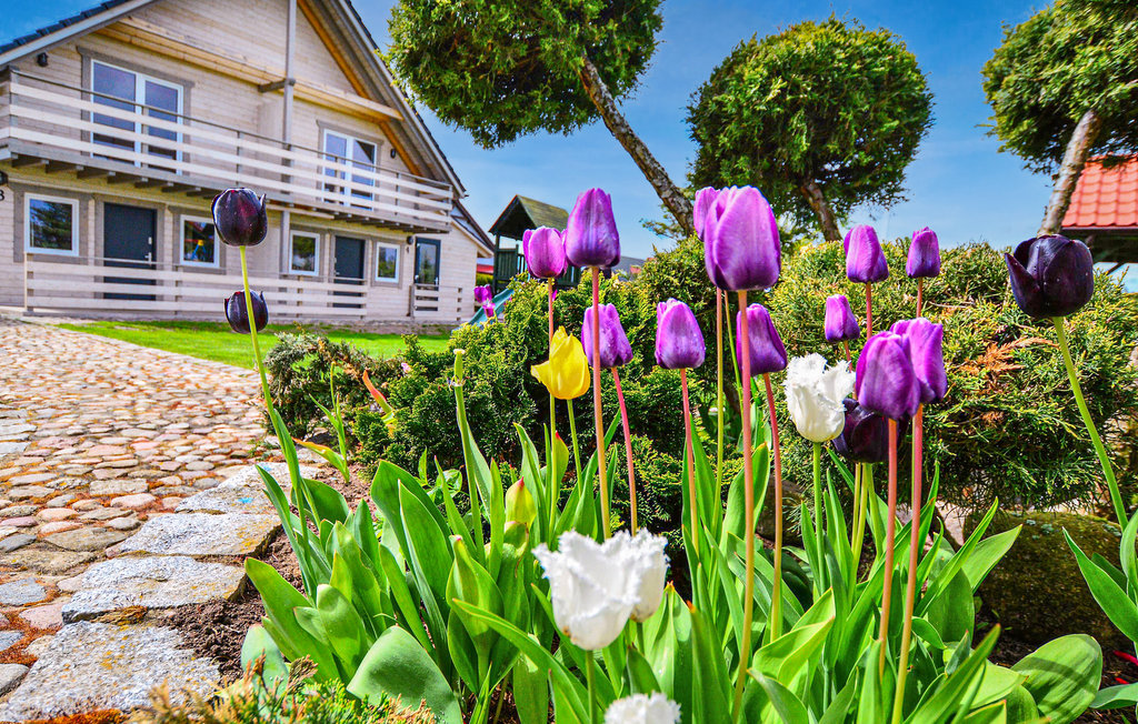 Feriehus - Darlowo , Polen - PPO749 12