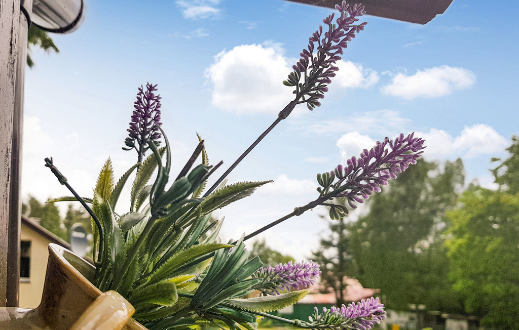 Semesterhus - Dominikowo , Polen - PPO246 13