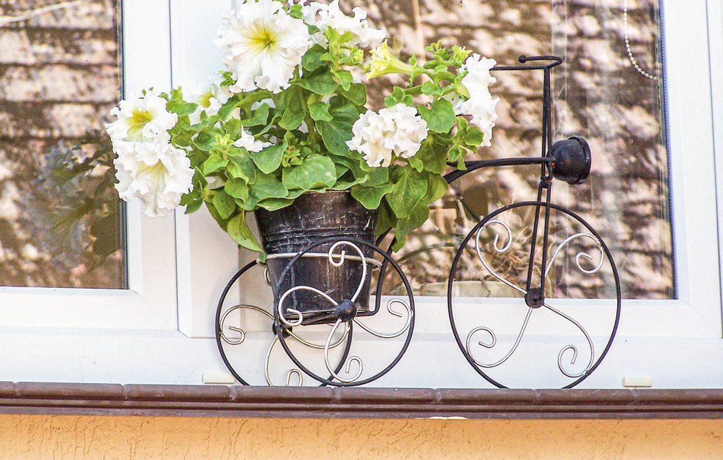 Ferienhaus - Darlowo , Polen - PPO293 9