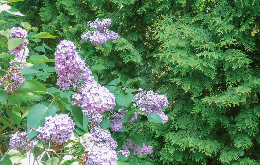 Feriehus - Gdansk , Polen - PPO487 16