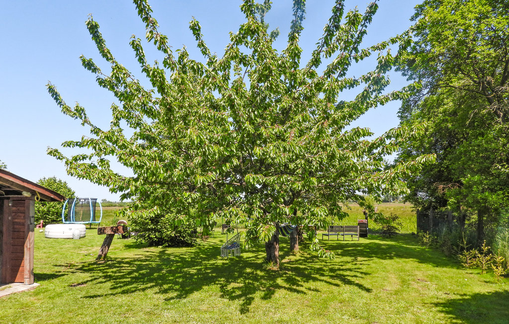 Ferienhaus - Nowe Warpno , Polen - PPO040 10