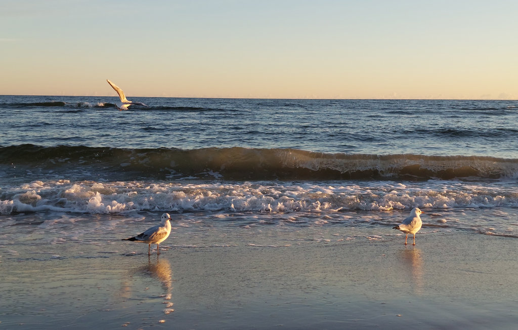 Ferienhaus - Swinoujscie , Polen - PPO072 14