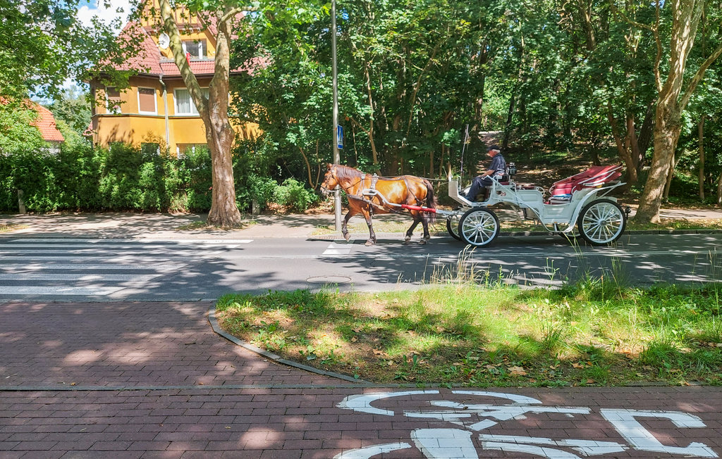 Ferienhaus - Swinoujscie , Polen - PPO072 8