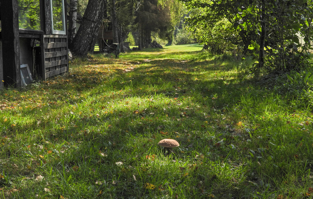 Feriehuse - Sianow , Polen - PPO317 15