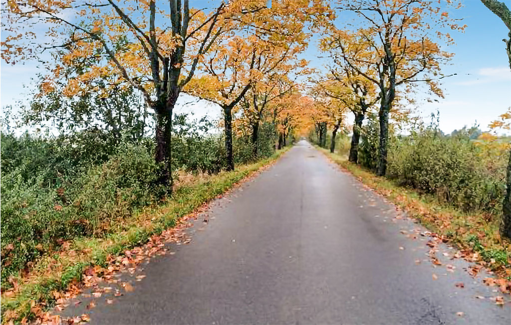 Feriehuse - Podamirowo , Polen - PPO458 19