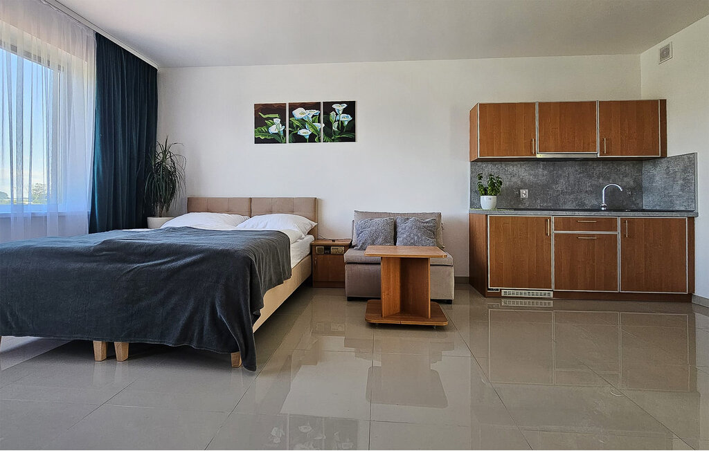 Feriehuse - Bedzino , Polen - PPO053 5